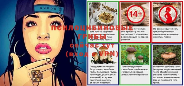 ПСИЛОЦИБИНОВЫЕ ГРИБЫ Верея